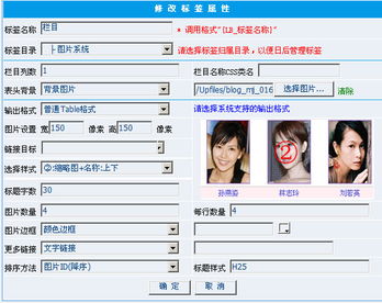 圖片和自定義js的問題 領先建站cms提供服務商 我們專注于cms建站產品的研發