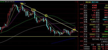 稅收升級(jí)商品期貨黑色洗不跌,物極必反